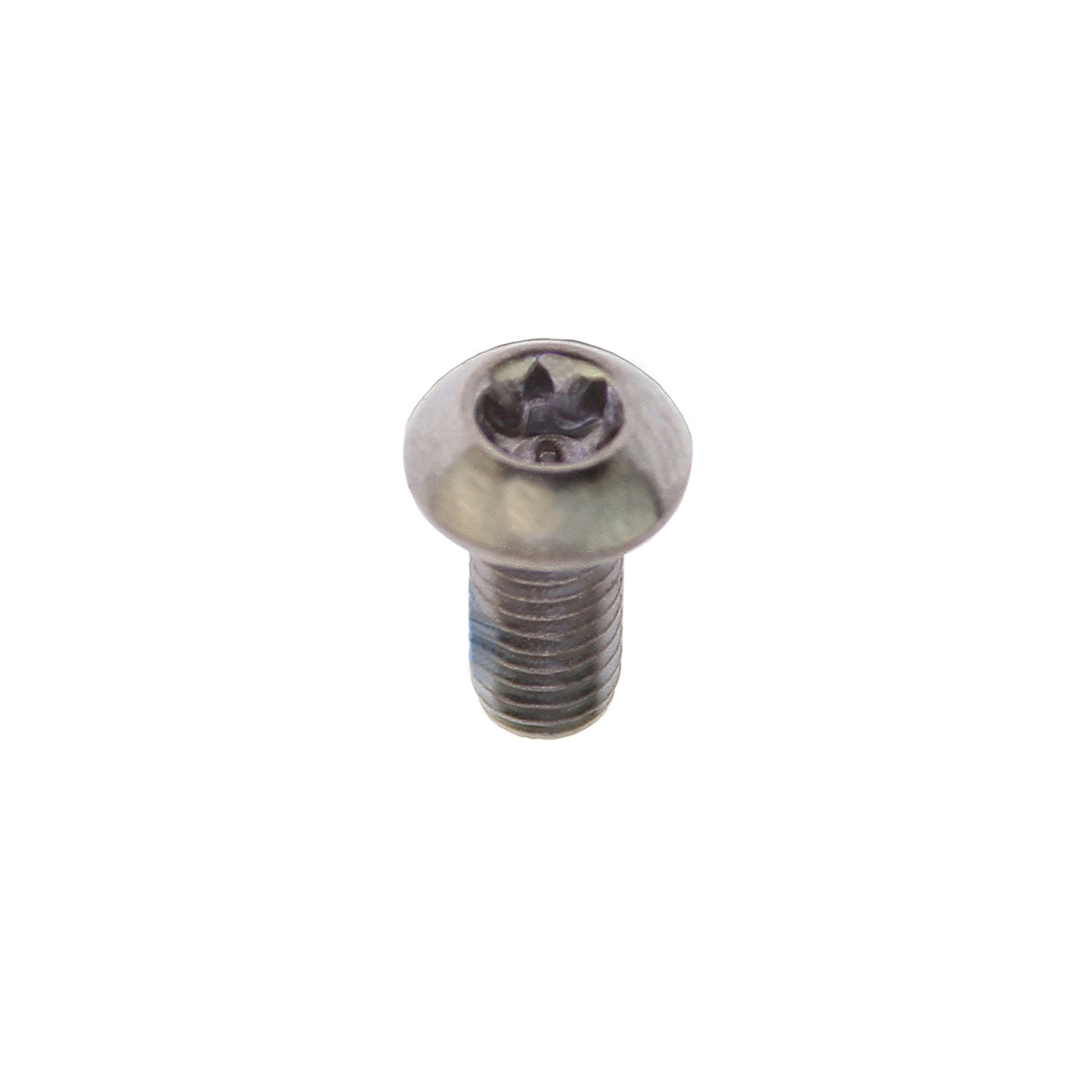 Brake Disc Rotor Bolt M5x10mm Chrome.