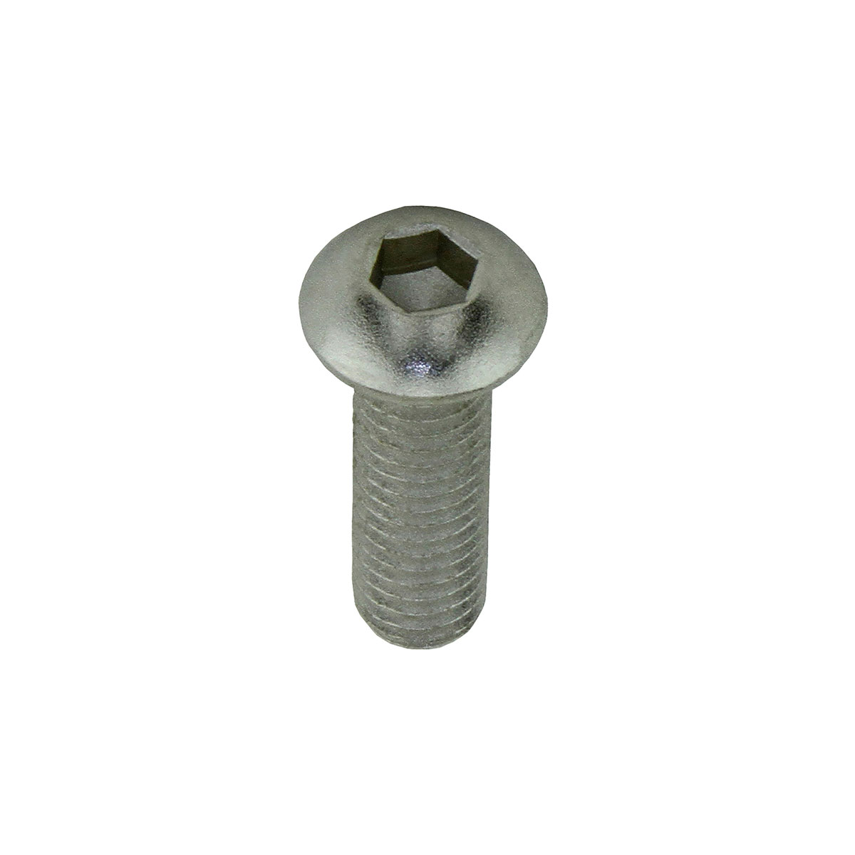 Brake Cantilever Mounting Bolt M6x20mm Chrome.