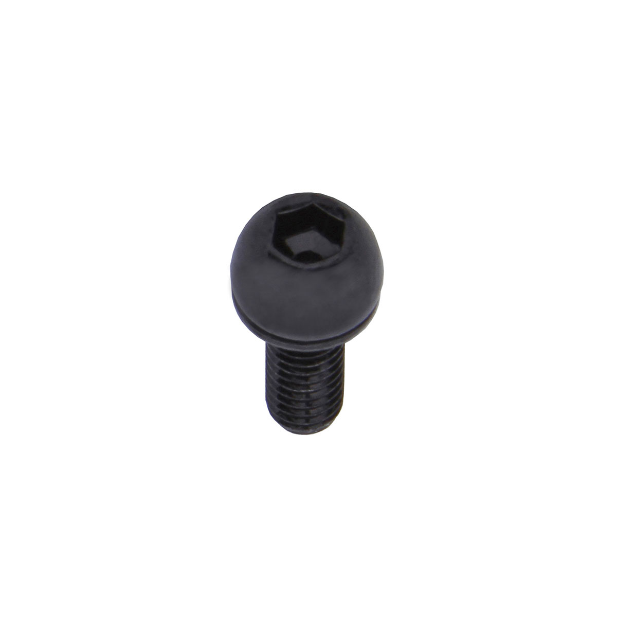 Bottle Cage Allen Bolts 5x12mm Black.