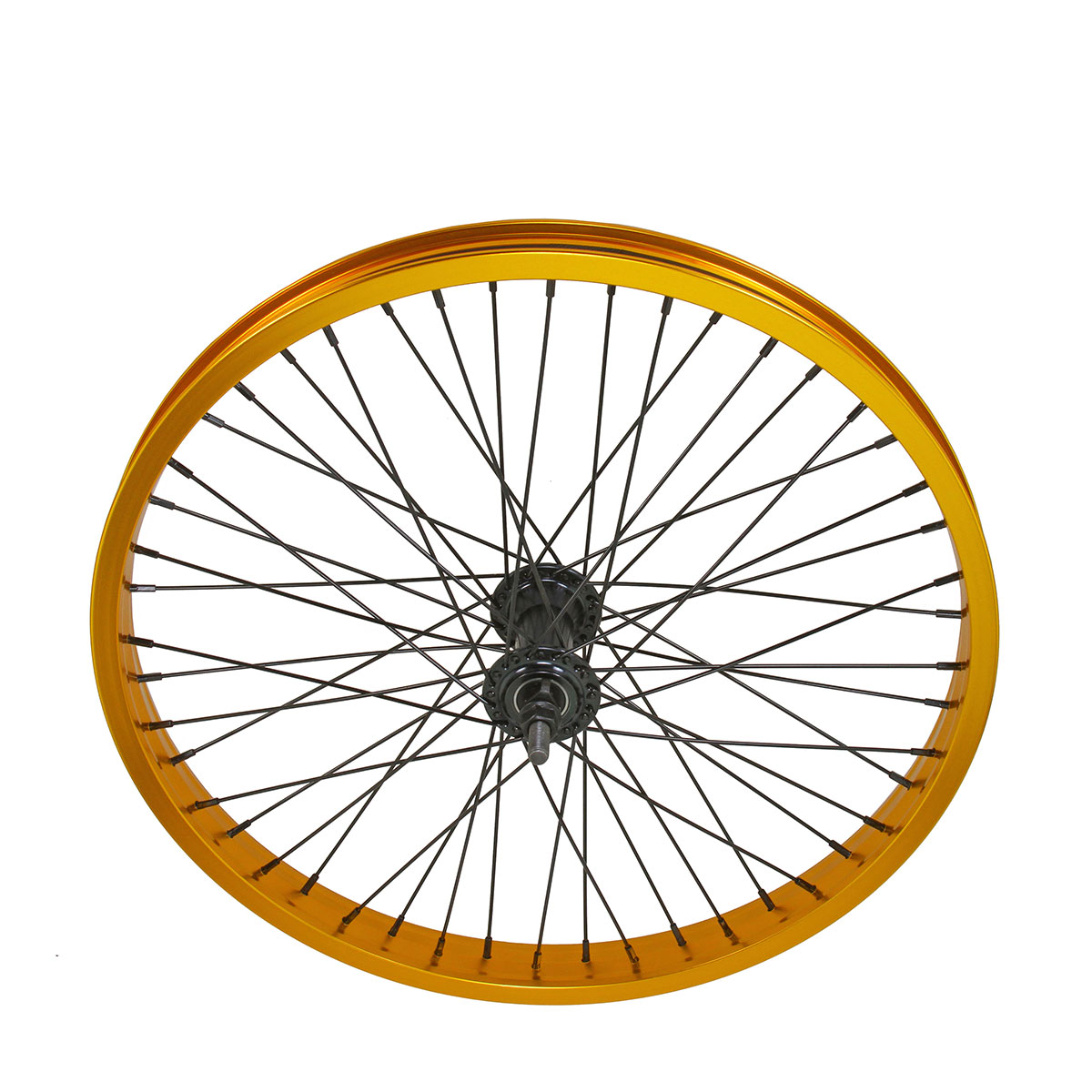 20 Inch x 34mm Alloy Front Wheel 48 Spoke 14GSS/Black 3/8...