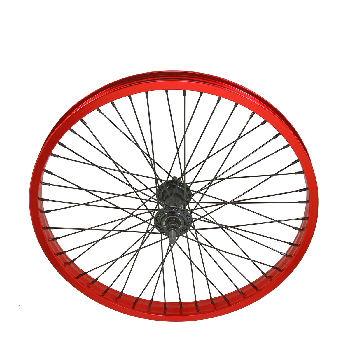 20 Inch x 34mm Alloy Front Wheel 48 Spoke 14GSS/Black 3/8...