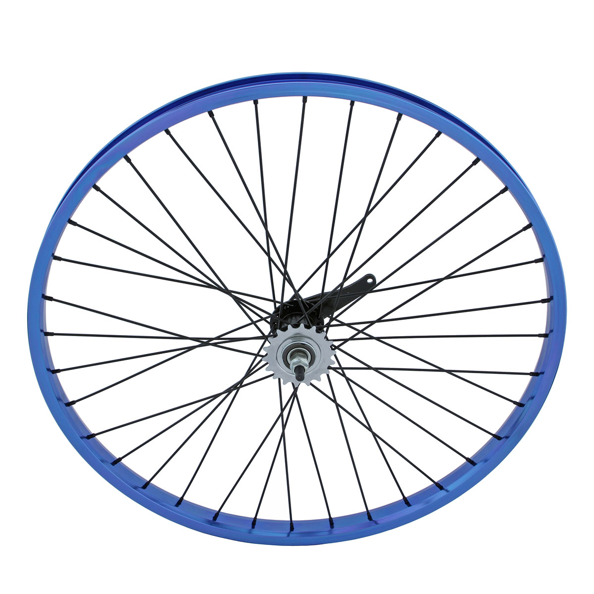 26 Inch x 32mm Alloy Coaster Wheel 36 Spoke 12G Black 3/8 Axle Double Wall Blue.