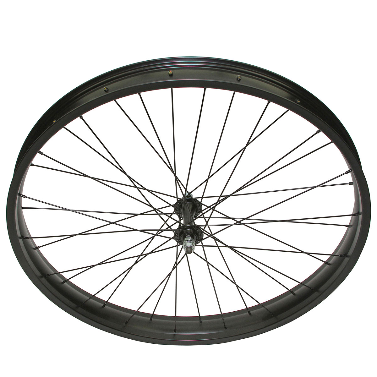 26 Inch x 60mm Fat Alloy Front 6/Bolt Disk Wheel 36 Spoke...