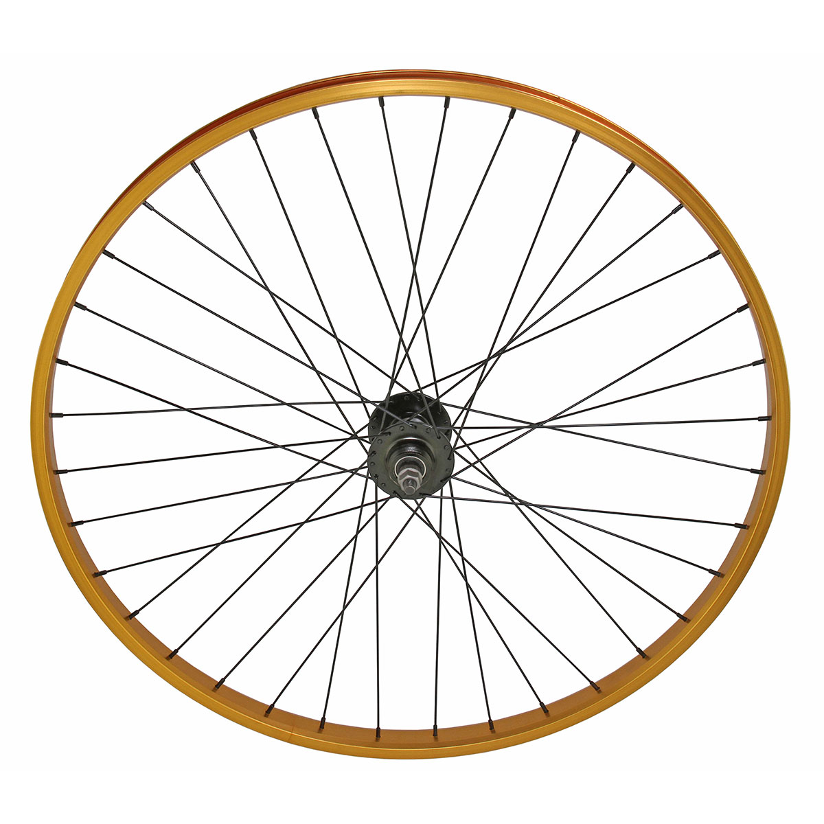29 Inch x 30mm Alloy 1 speed Free Wheel 36 Spoke 14G Gold...
