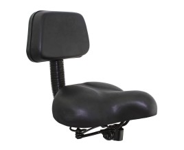Cruisers W/Back Rest