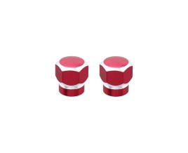 Hex Schrader Valve