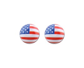 Flag Schrader Valve