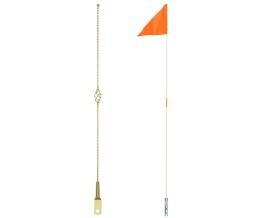 Antenna & Flags